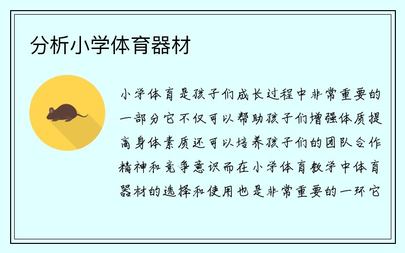 分析小学体育器材