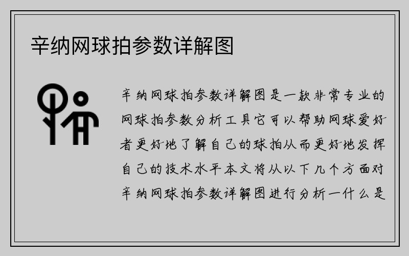 辛纳网球拍参数详解图